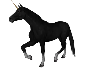 a black unicorn standing on its hinds