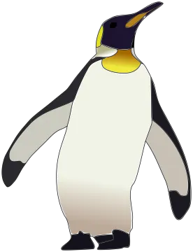 an image of a penguin
