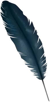 a black feather on a white background