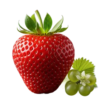 a strawberry and some green leaves on a white background