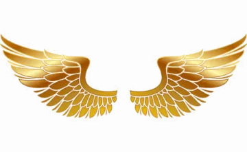 golden wings on a white background