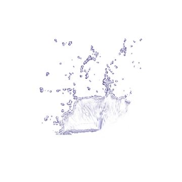 a water splash on a white background