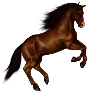a brown horse running on a white background