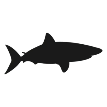 a black and white silhouette of a shark