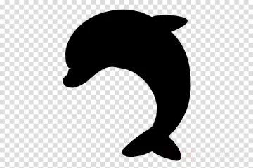 a dolphin silhouette on a transparent background