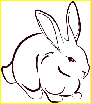a black and white rabbit on a yellow background
