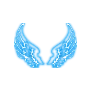 a pair of wings on a white background