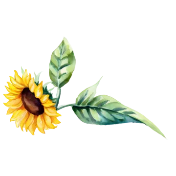 a watercolor painting of a sunflower
