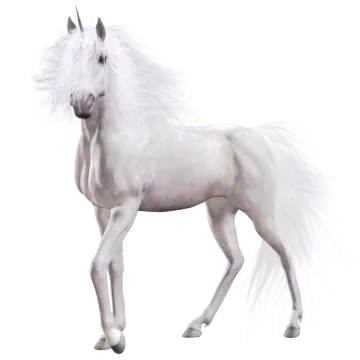 a white unicorn standing on its hinds