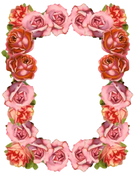 a frame made of pink and orange roses