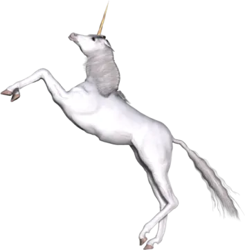 a white unicorn standing on its hind