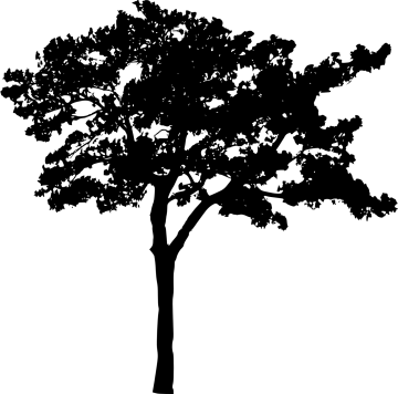 a black and white silhouette of a tree