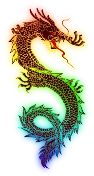 two colorful dragon tattoos on white background
