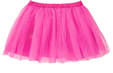a pink tulle skirt