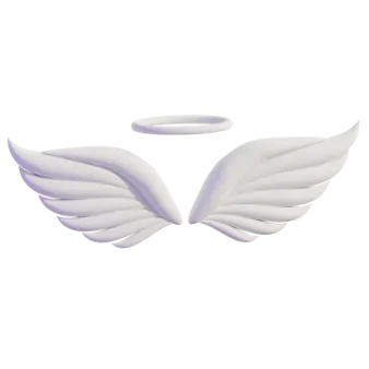 a pair of white wings on a white background