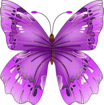 a purple butterfly on a white background