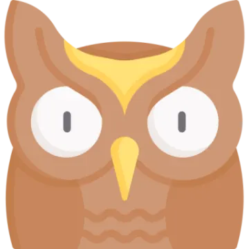 an owl with big eyes