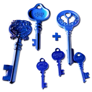a bunch of keys on a white background