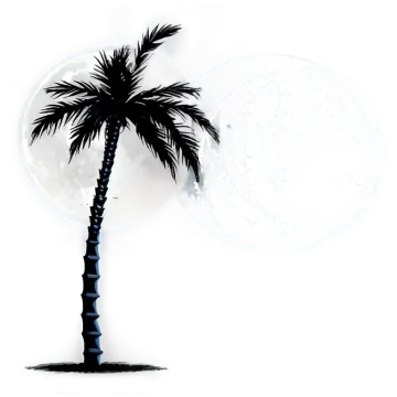 a palm tree with the moon in the background