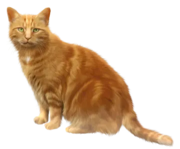 an orange cat with green eyes sitting down
