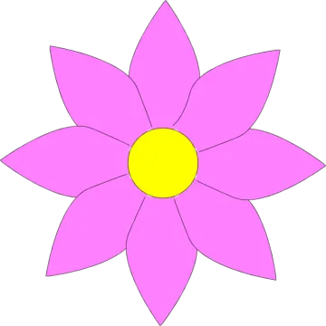 a pink flower with yellow center