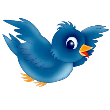 a blue bird flying in the air
