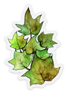 a bunch of green leaves on a white background