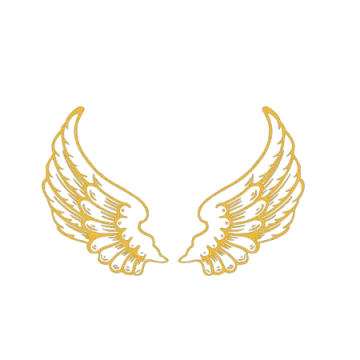 a pair of wings on a white background