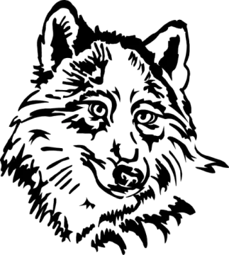 a black and white drawing of a wolf