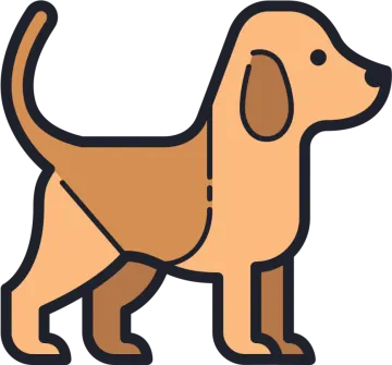 a brown dog standing on a white background