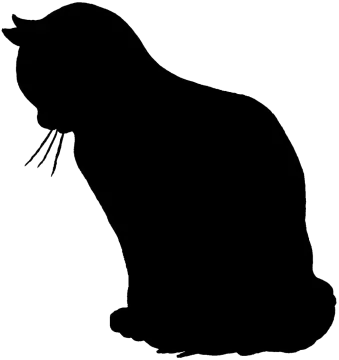 a cat silhouetted on a white background