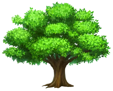 a green tree on a white background