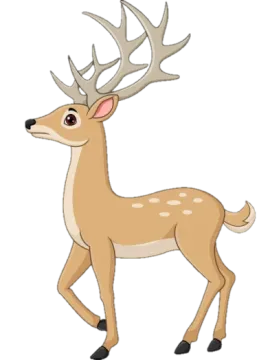 how to draw a deer