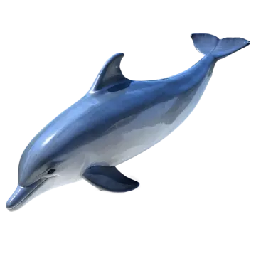 a blue dolphin swimming in the ocean