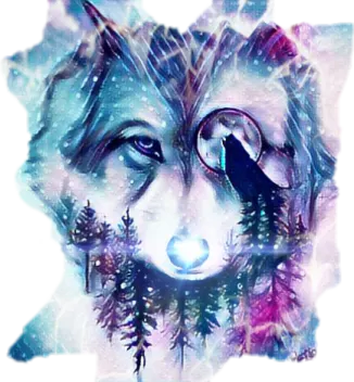 a drawing of a wolf in the snow