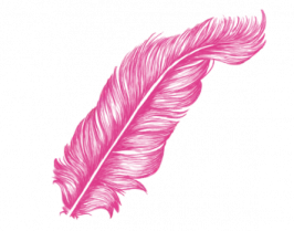 a pink feather on a white background