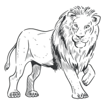 a black and white drawing of a lion