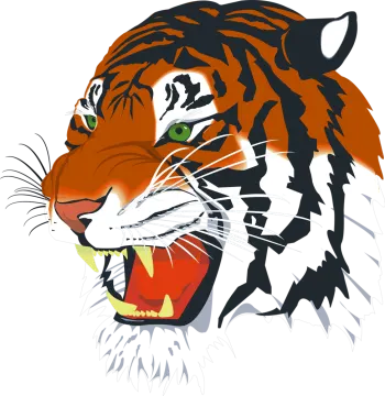 a tiger's head with its mouth open