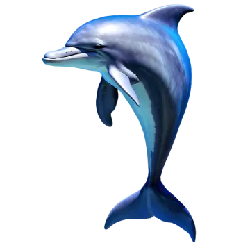 a dolphin jumping in the air with its mouth open