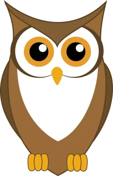 an owl with big eyes
