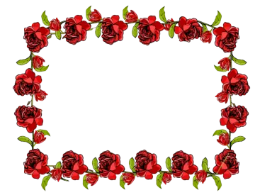 a red rose border with green leaves