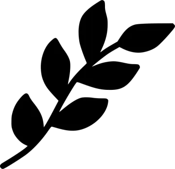 a black and white silhouette of a leaf