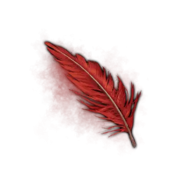 a red feather on a white background