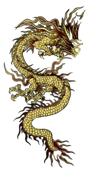 a gold dragon tattoo design