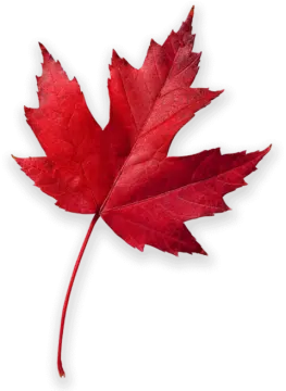 a red maple leaf