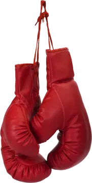 a pair of red boxing gloves hanging on a rope