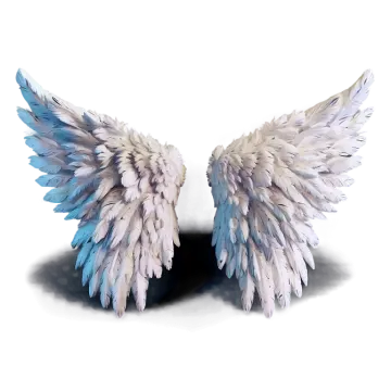 two white and blue wings on a white background