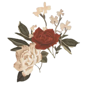 a red rose with white flowers and green leaves