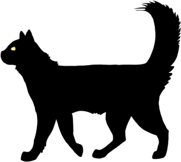 a black cat silhouetted on a white background