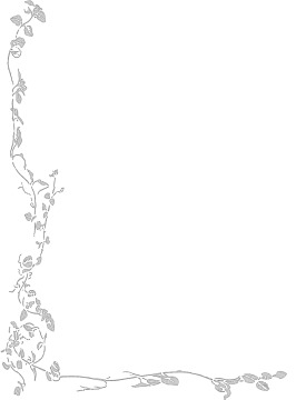 a black and white floral border